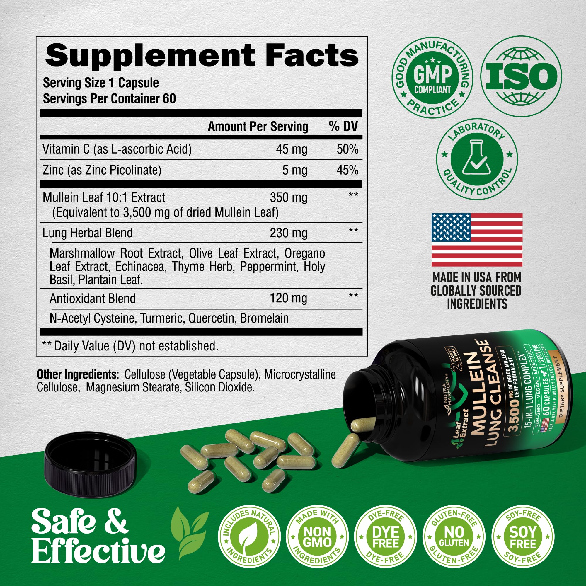 Illustration of lung health and immune support