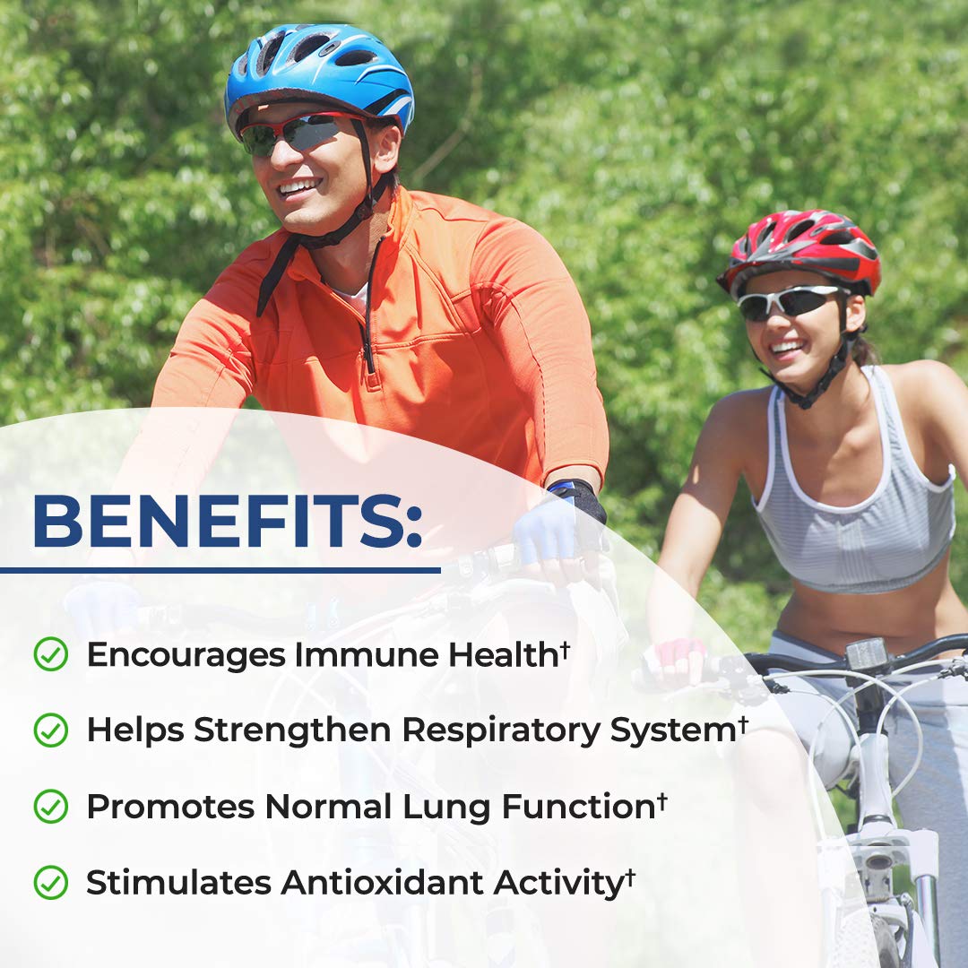 Illustration of quercetin, vitamin D, cordyceps, nettle leaf and marshmallow root ingredients