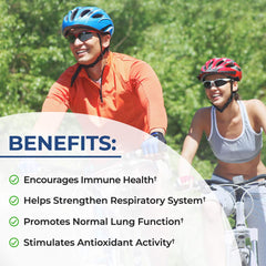 Illustration of quercetin, vitamin D, cordyceps, nettle leaf and marshmallow root ingredients