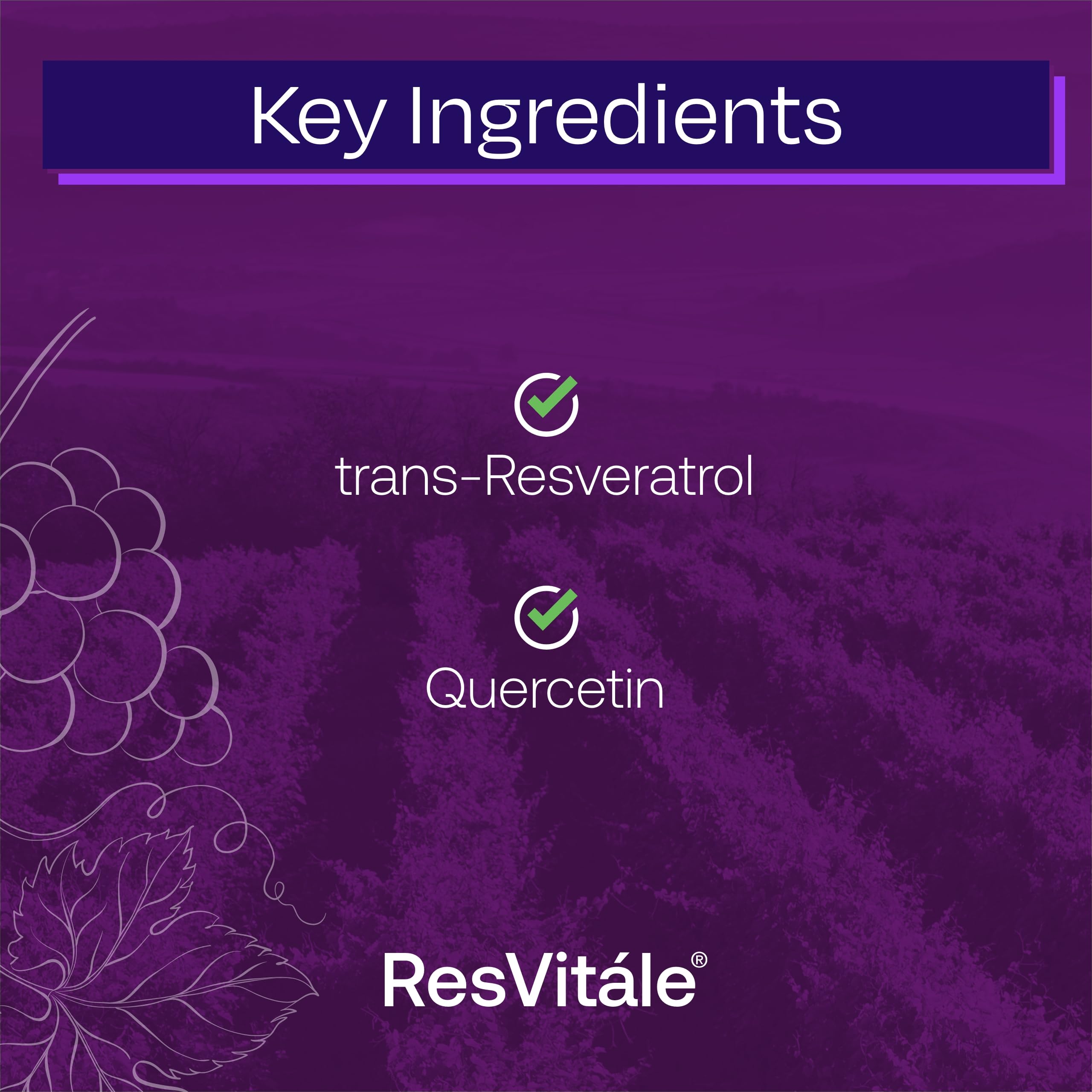 120 veggie capsules displayed in bottle