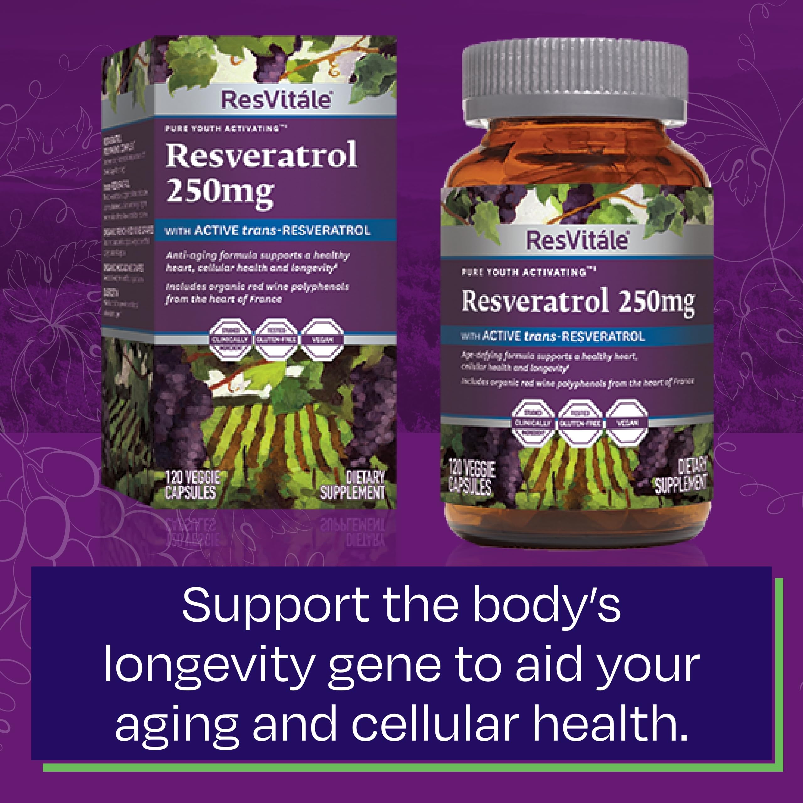 Herbal ingredients associated with resveratrol supplement