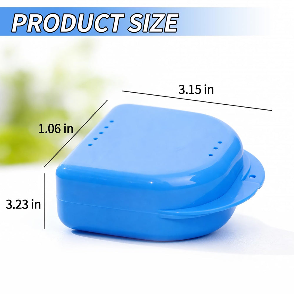 White denture case with vent holes and snap-lock