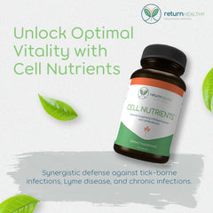 Two vegan capsules close-up