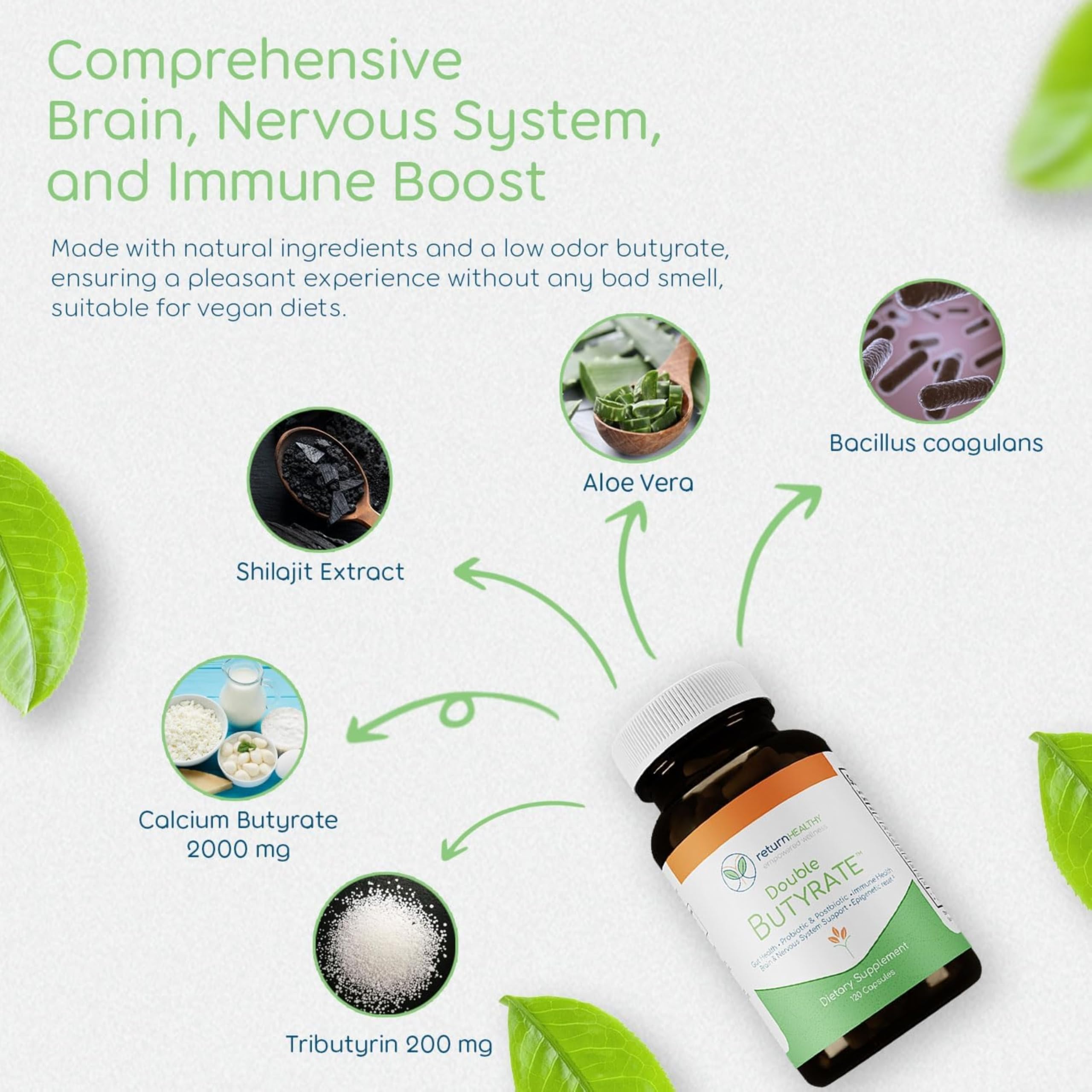 Illustration of improved gut barrier and digestive health