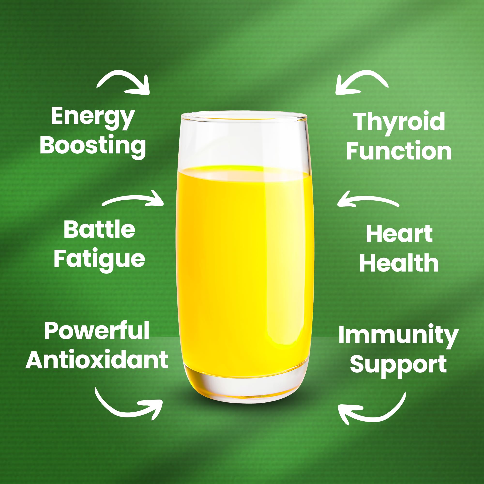 Illustration of Revive Active supporting energy and immune health
