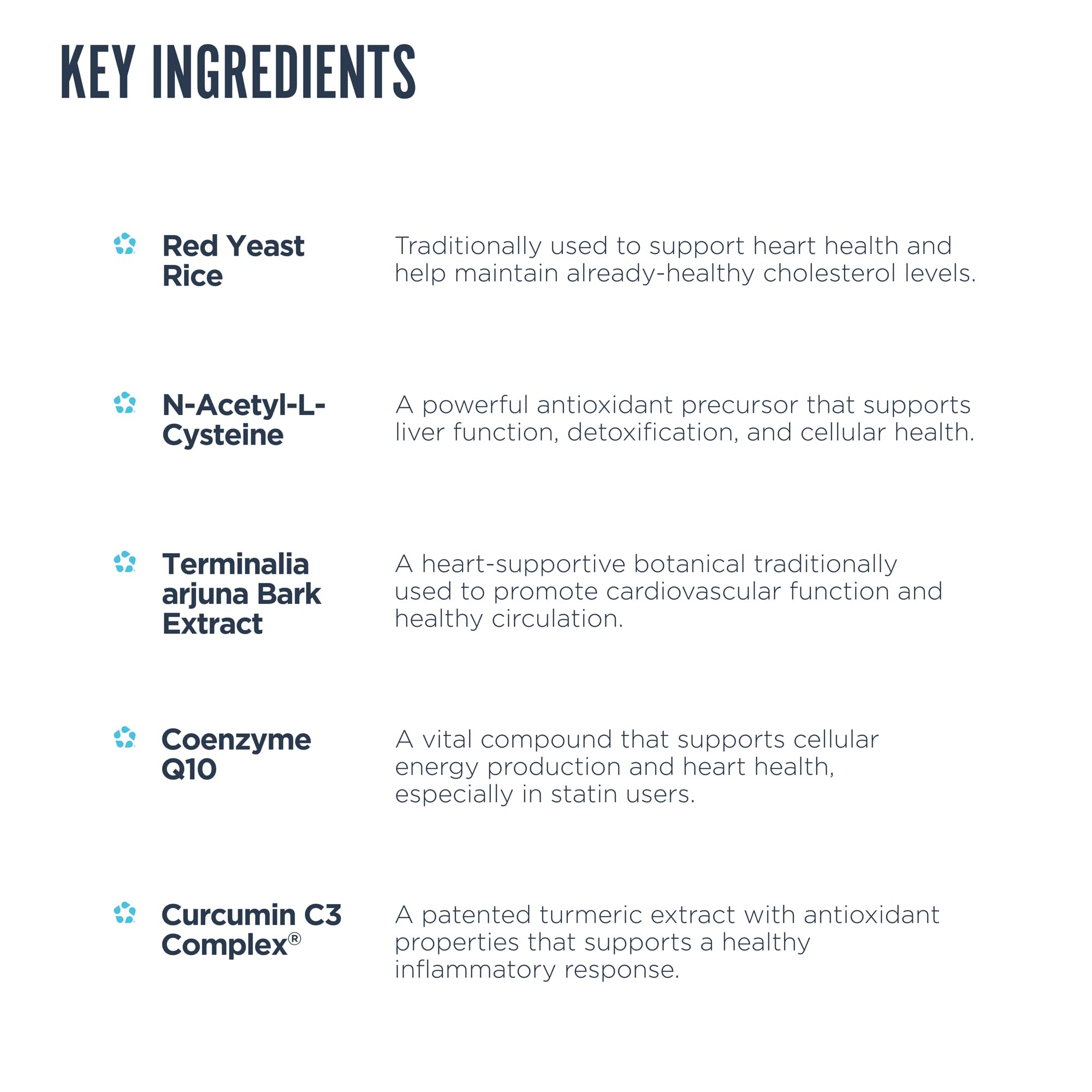NAC, Nattokinase, Arjuna and Grape Seed Extract components