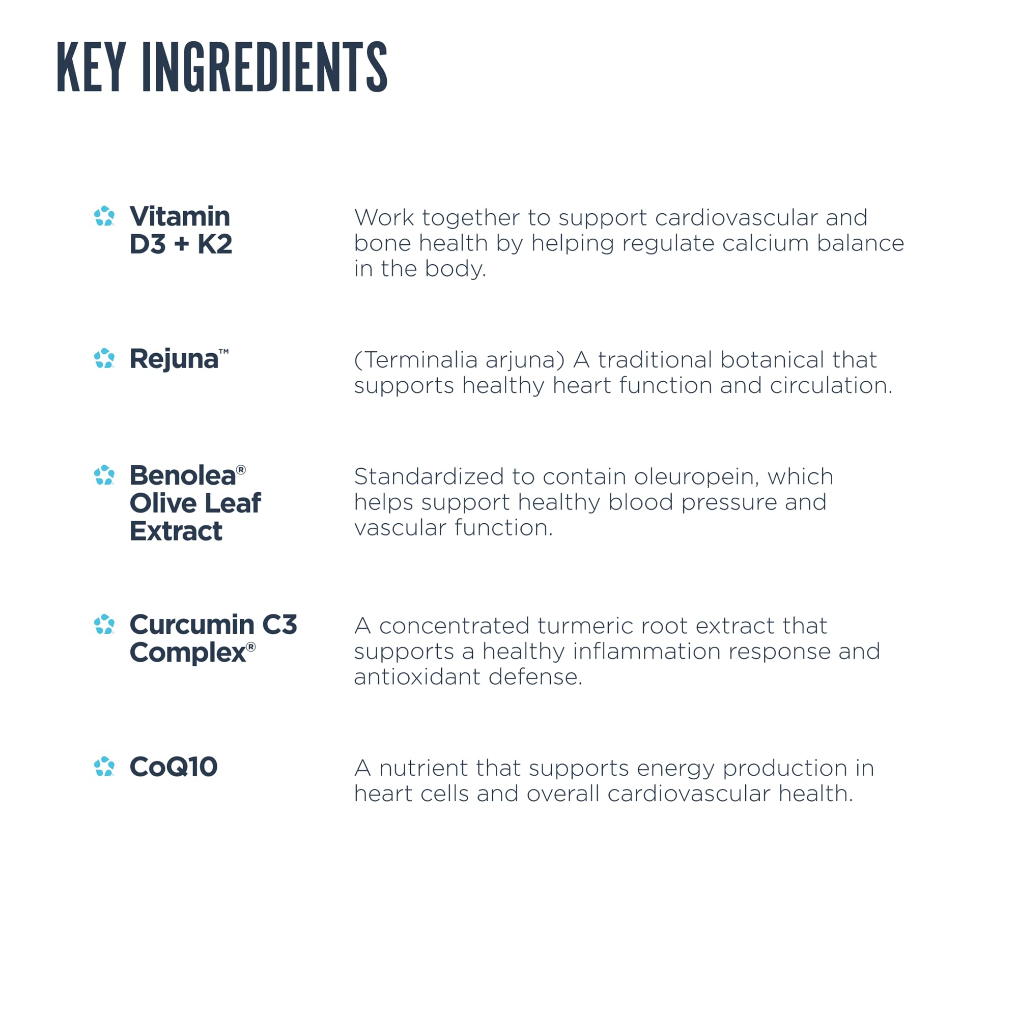 Close-up of key ingredients: Rejuna, Benolea, Curcumin