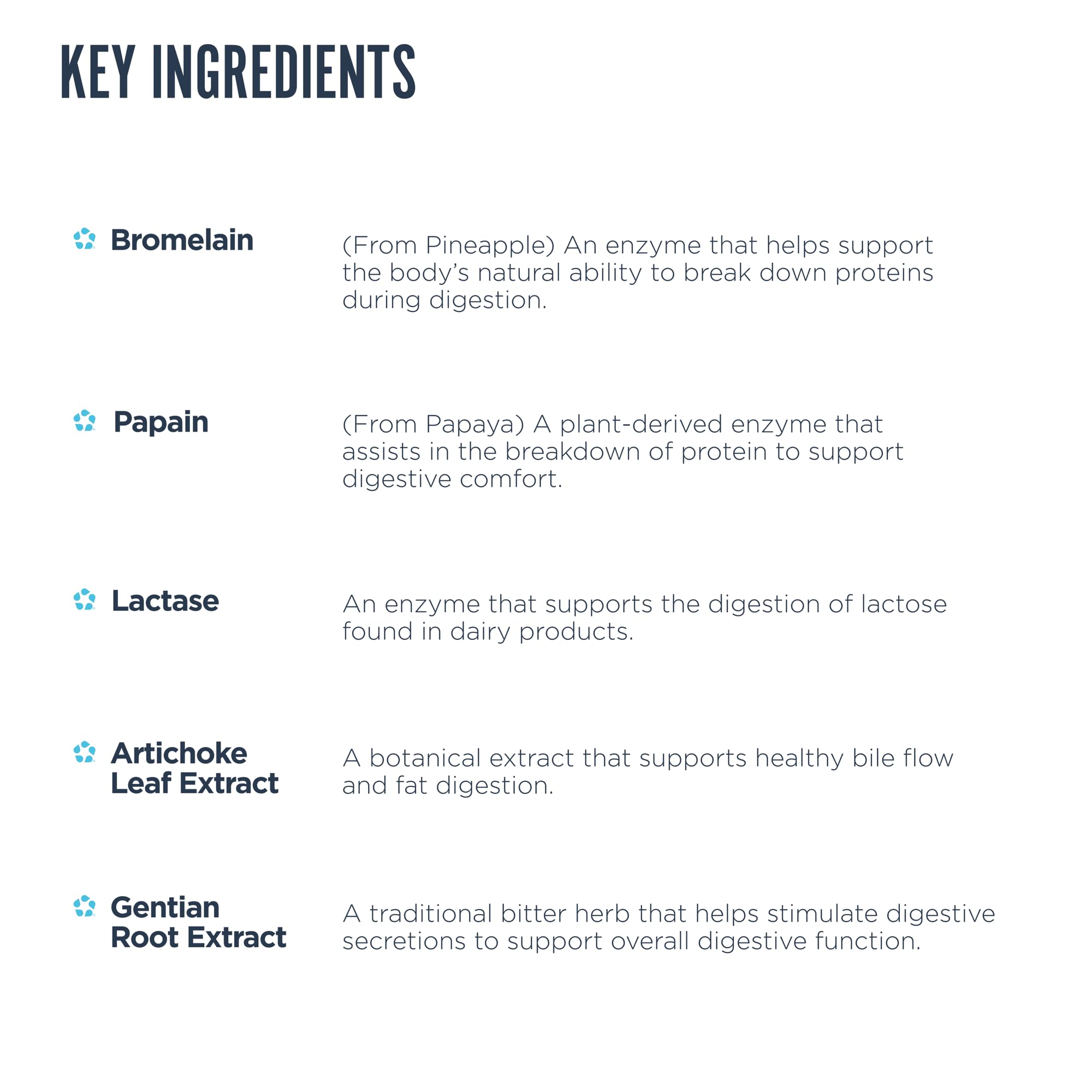 Digest Aid capsules arranged in a row