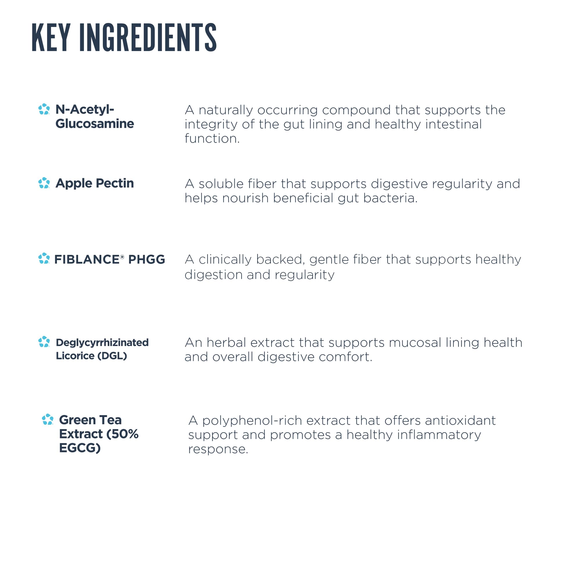 Close-up of GI Plus label highlighting ingredients (Apple Pectin, Lecithin, Cinnamon, Green Tea)