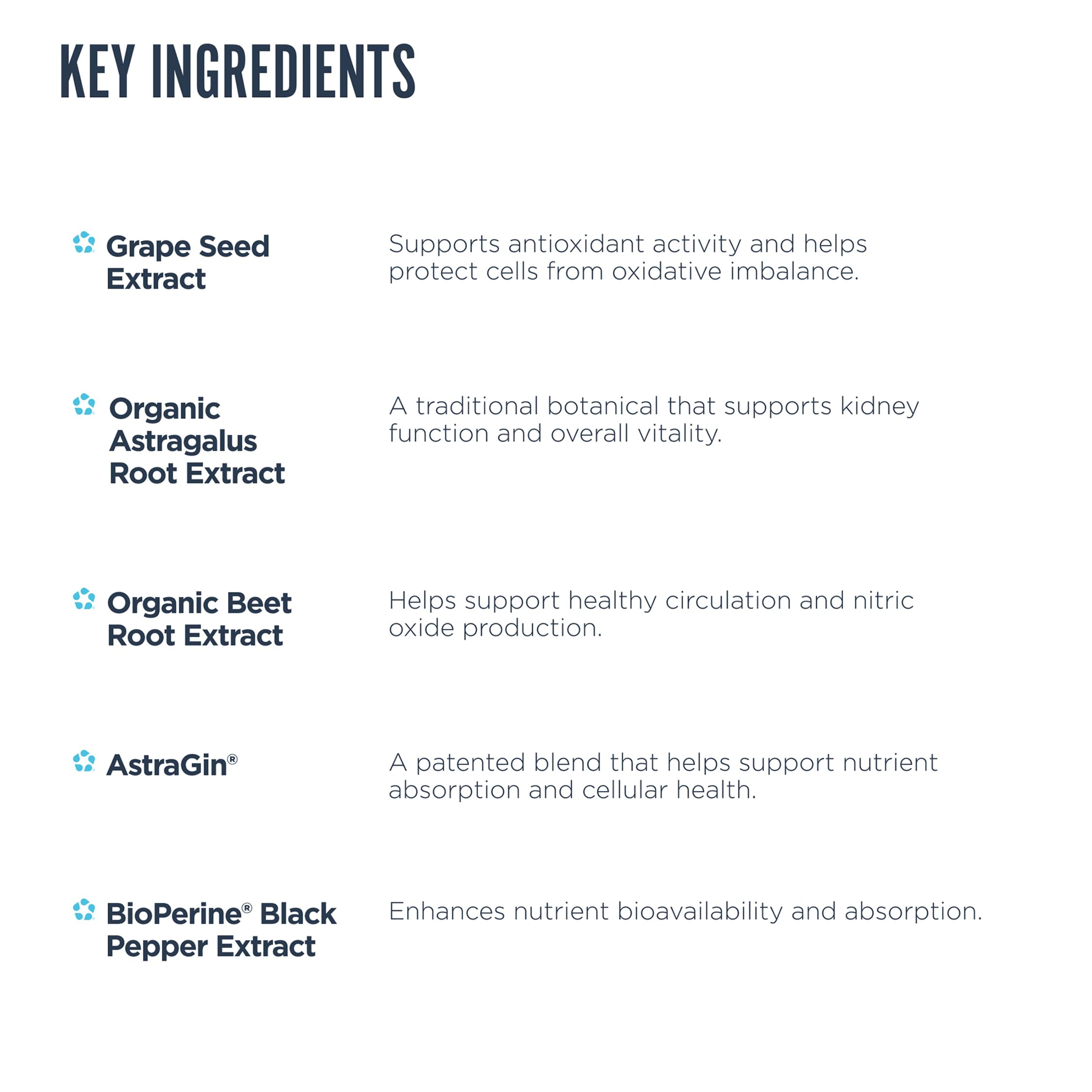 Astragalus root as a key ingredient in Revive MD Kidney Support