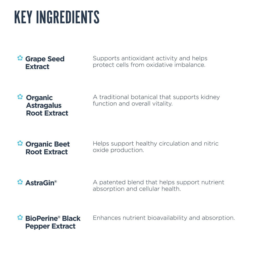 Astragalus root as a key ingredient in Revive MD Kidney Support
