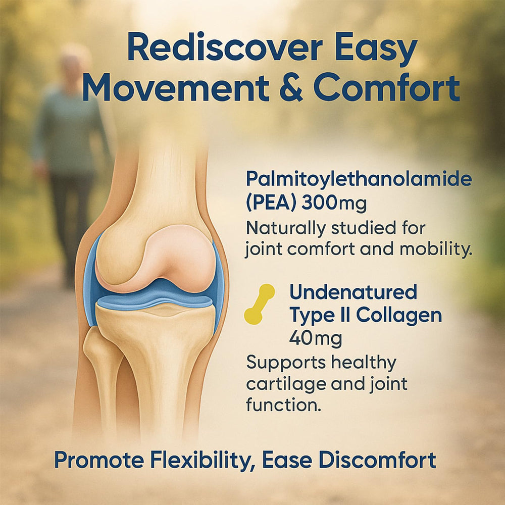 Undenatured type II collagen supporting cartilage and connective tissue health.