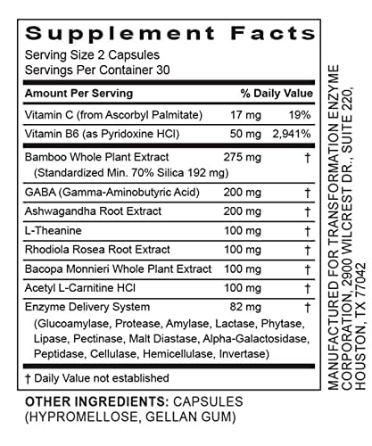 ReZEN Enzyme Blend supporting nervous system and stress relief with nootropic ingredients