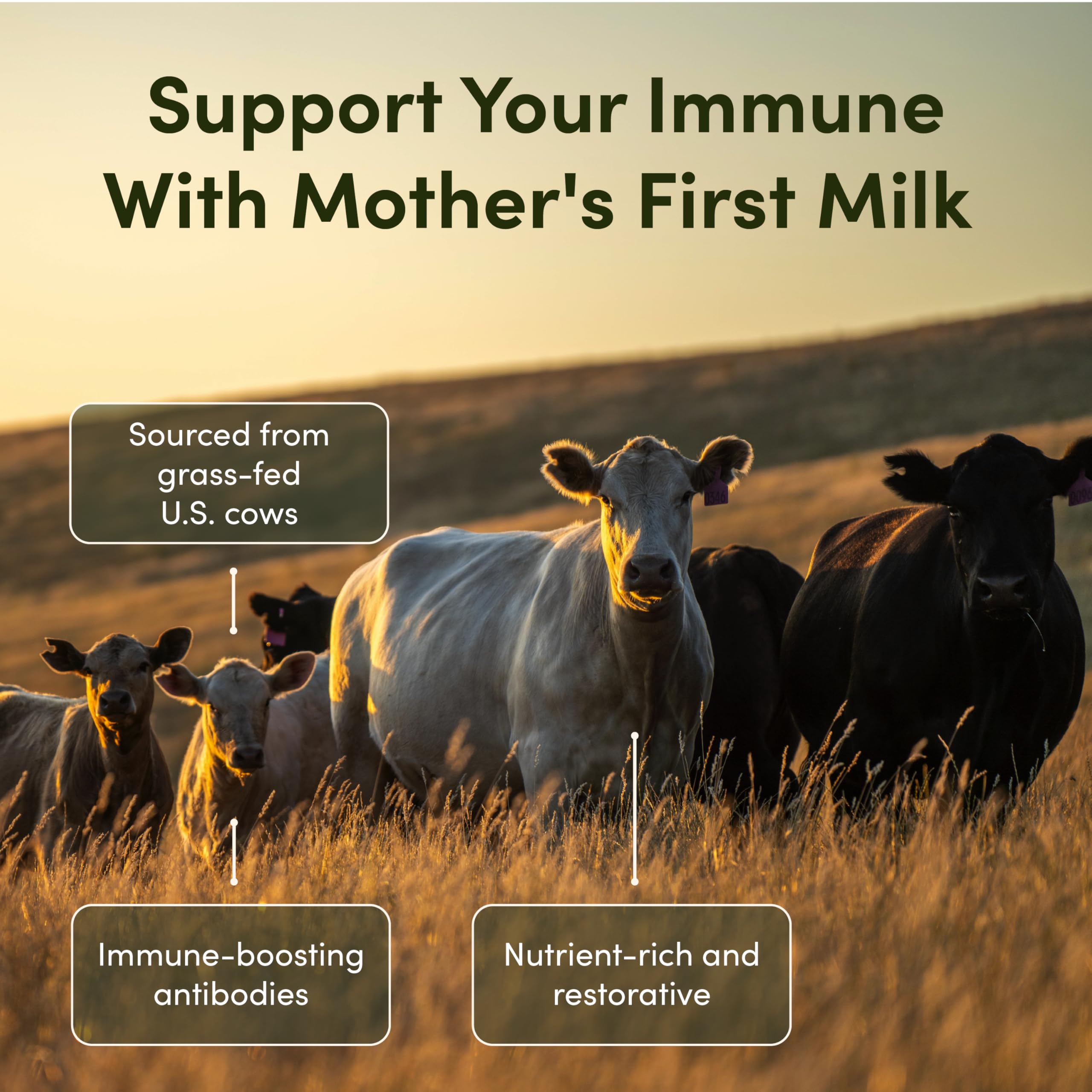 Lifestyle scene with supplement for immune support