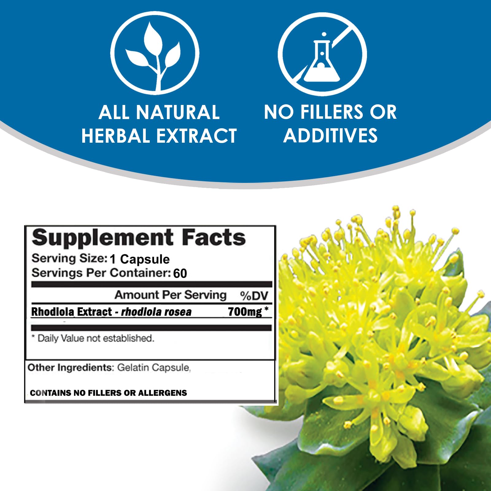 Diagram showing adaptogenic benefits of Rhodiola Rosea