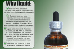 Packaging and sourcing of Rhodiola glycerite from organic or ethically sourced roots