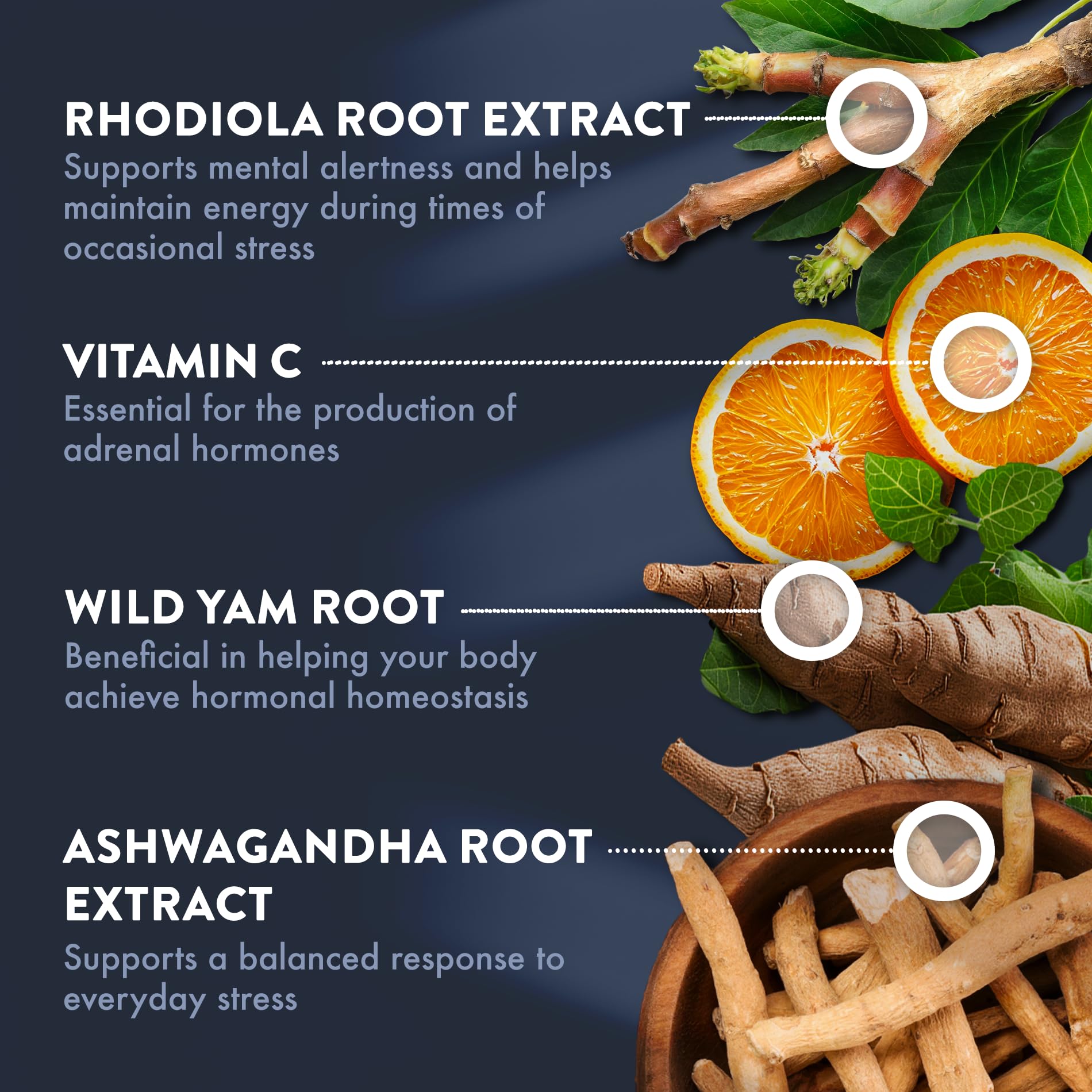 Rhodiola rosea extract for cortisol management