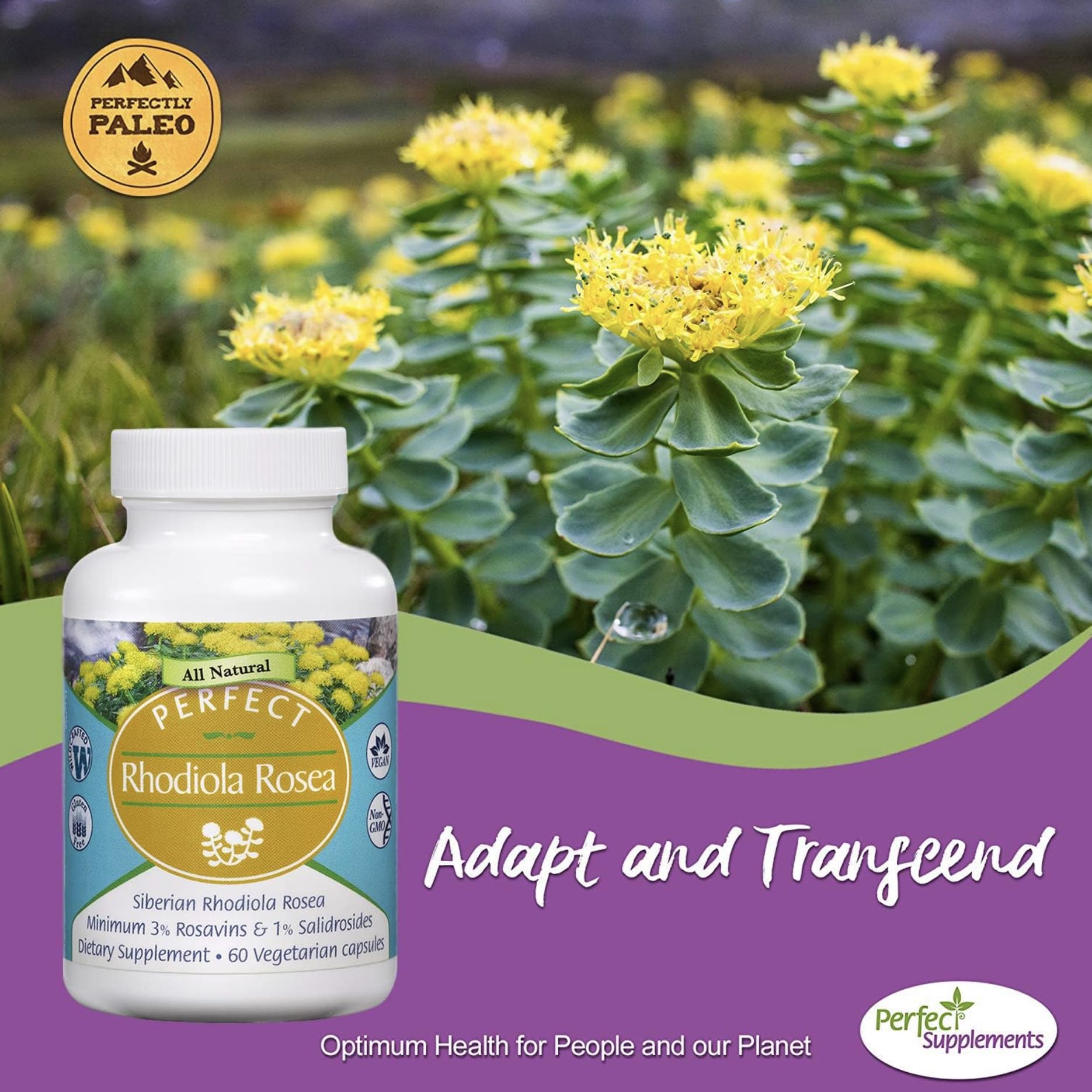 Gluten-free, vegan, non-GMO Rhodiola Rosea information badge