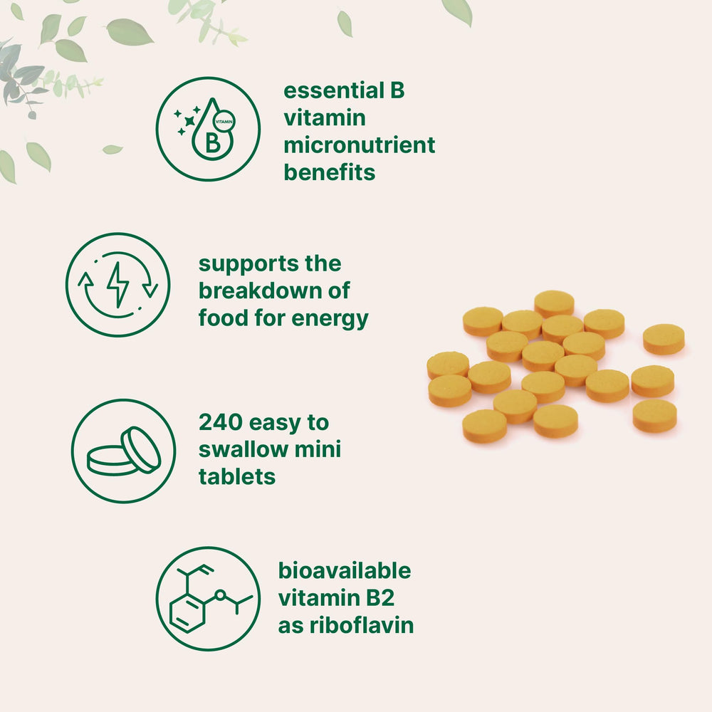 Nutrition facts panel showing 400mg per serving for riboflavin B2