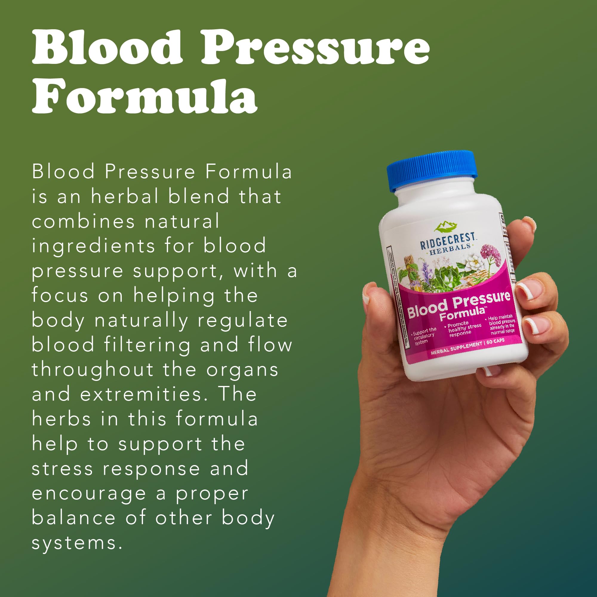 Gardenia fruit and other herbs in RidgeCrest Blood Pressure Formula