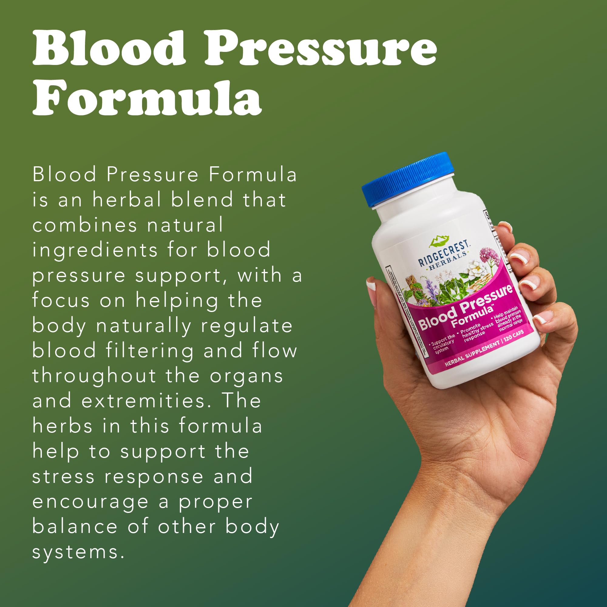 Packaging box and bottle of RidgeCrest Blood Pressure Formula