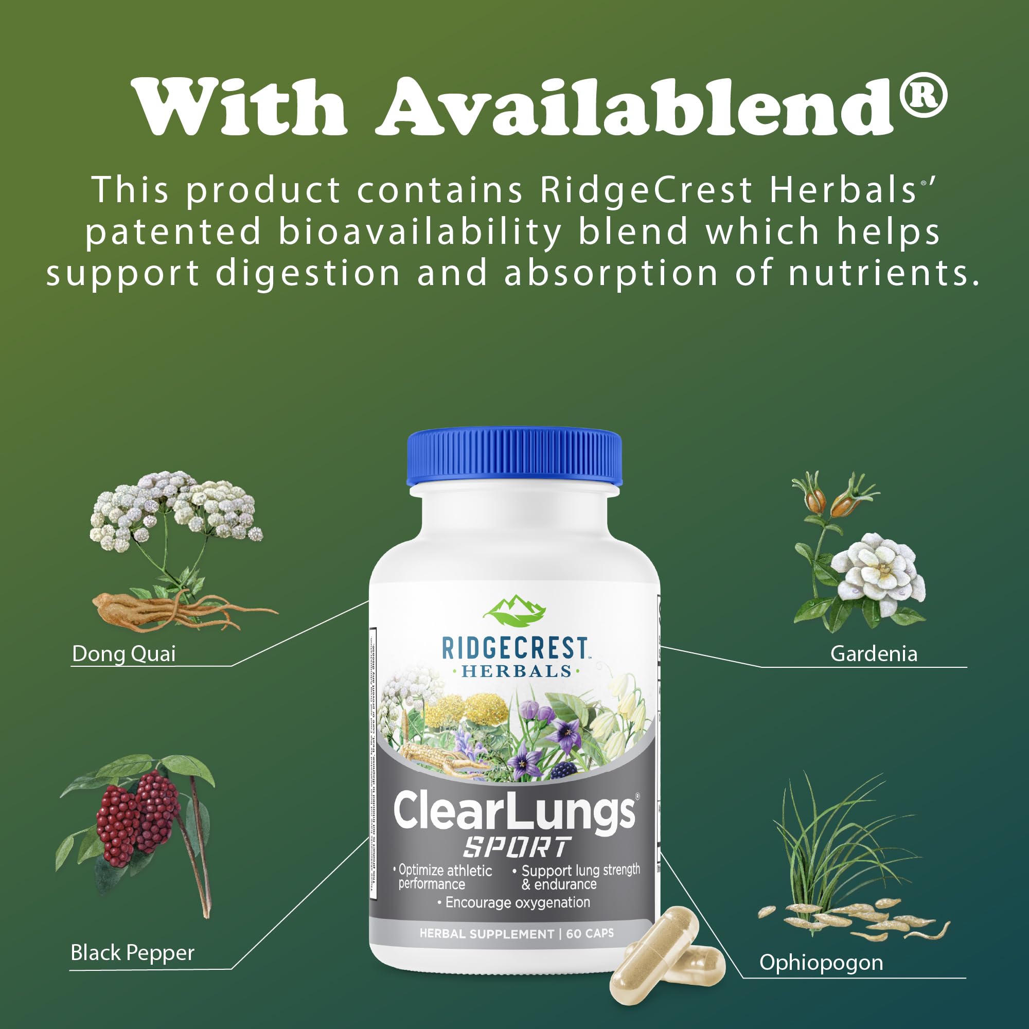 Platycodon and Tangerine Peel components in ClearLungs Sport