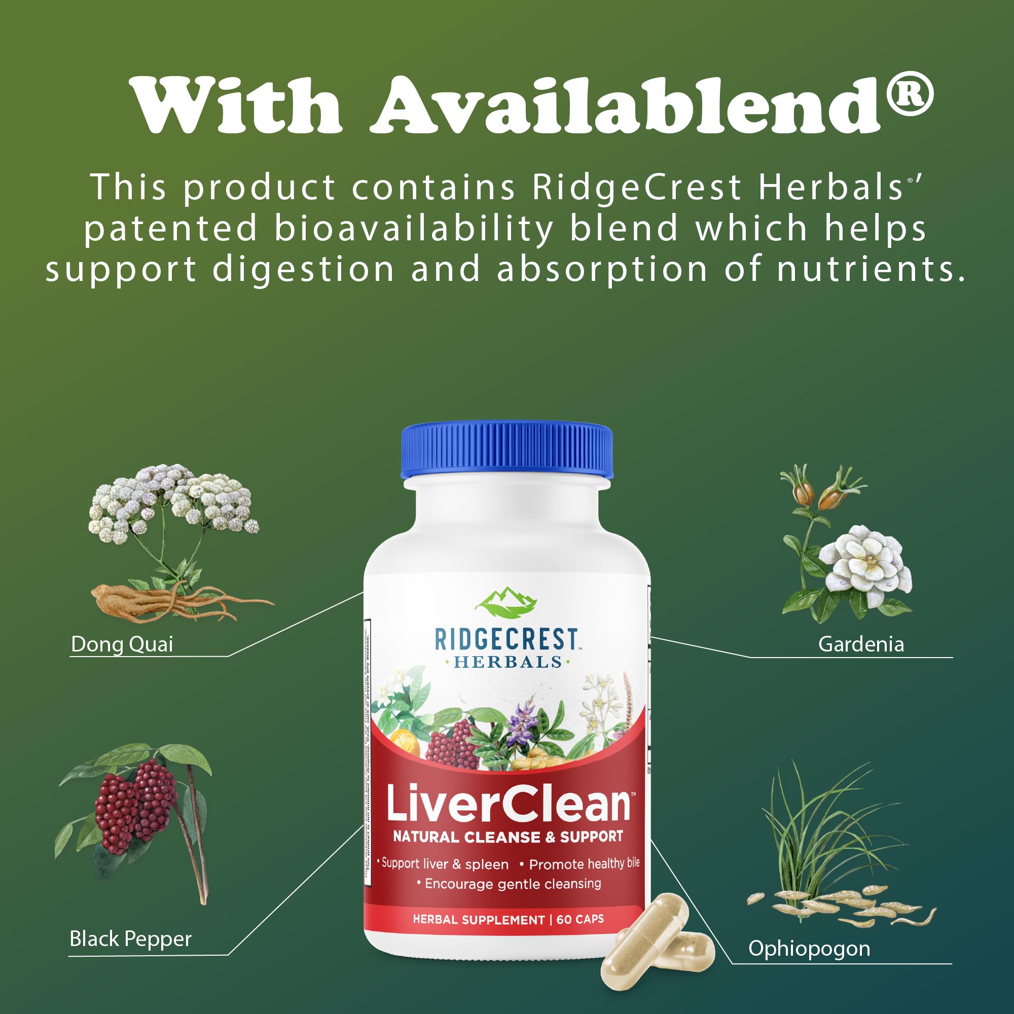 Graphic illustrating liver and bile support from LiverClean