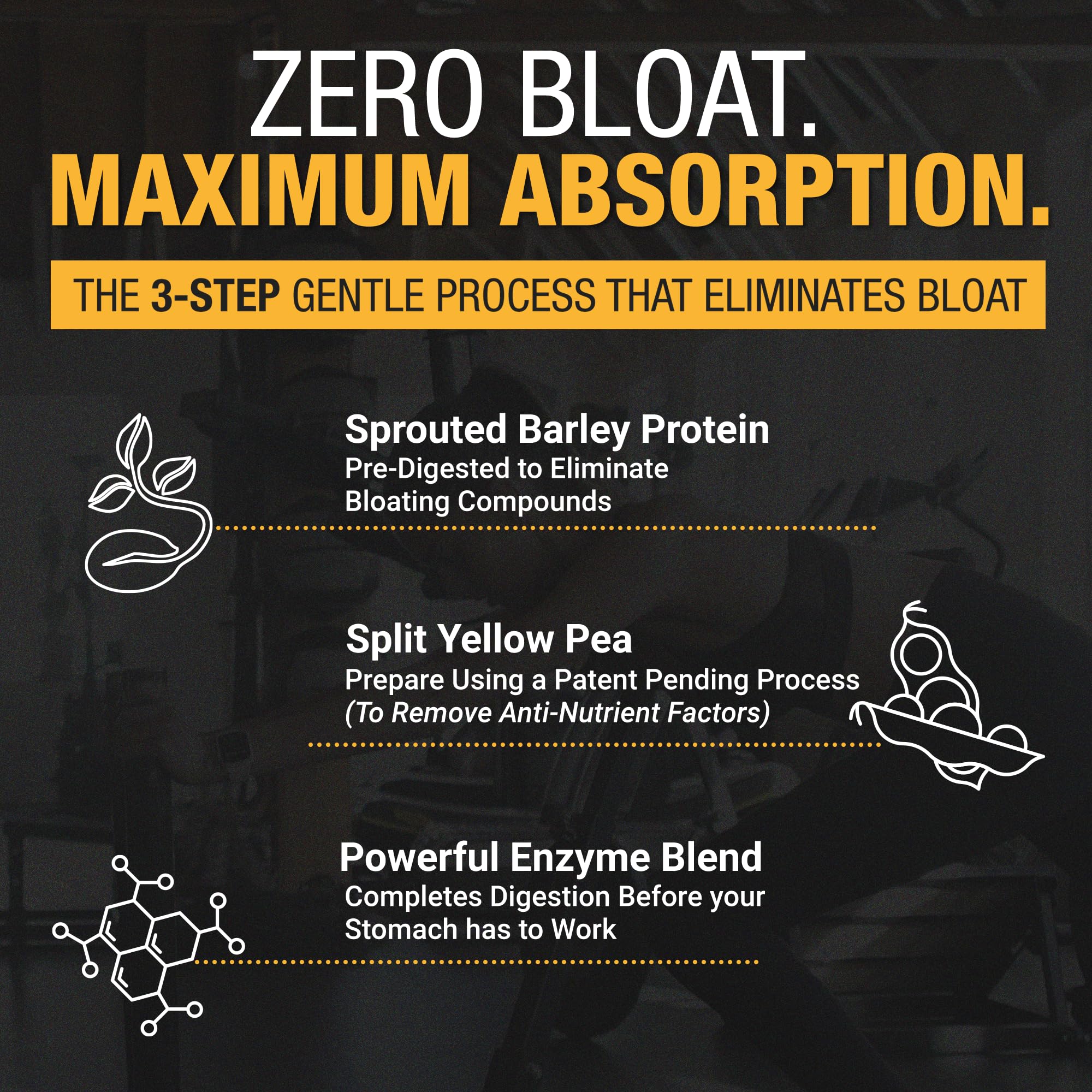 RISE311 protein powder nutrition facts label emphasizes protein content and calories.