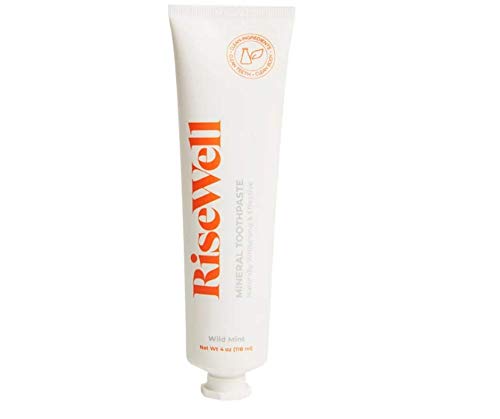 RiseWell Japanese Style Toothpaste Natural 4 oz tube front view