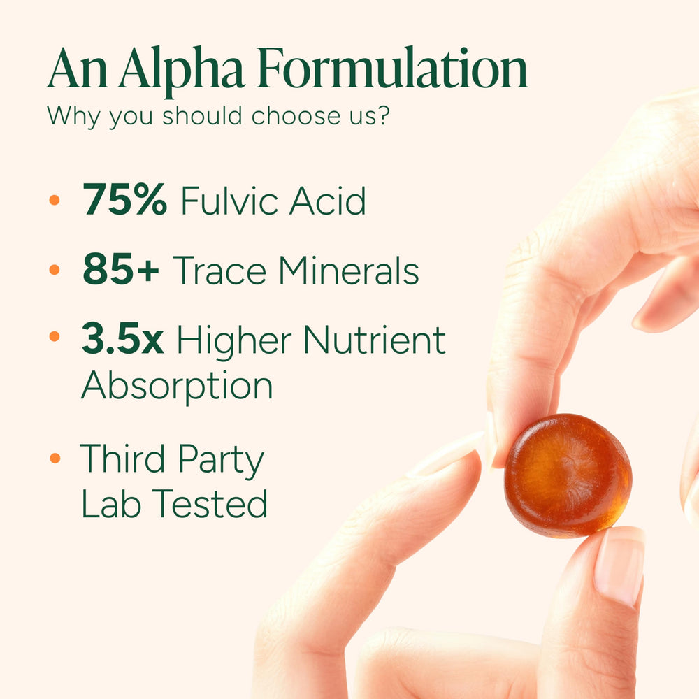 Root Labs Alpha Shilajit Gummies close-up chewy texture and tamarind flavor