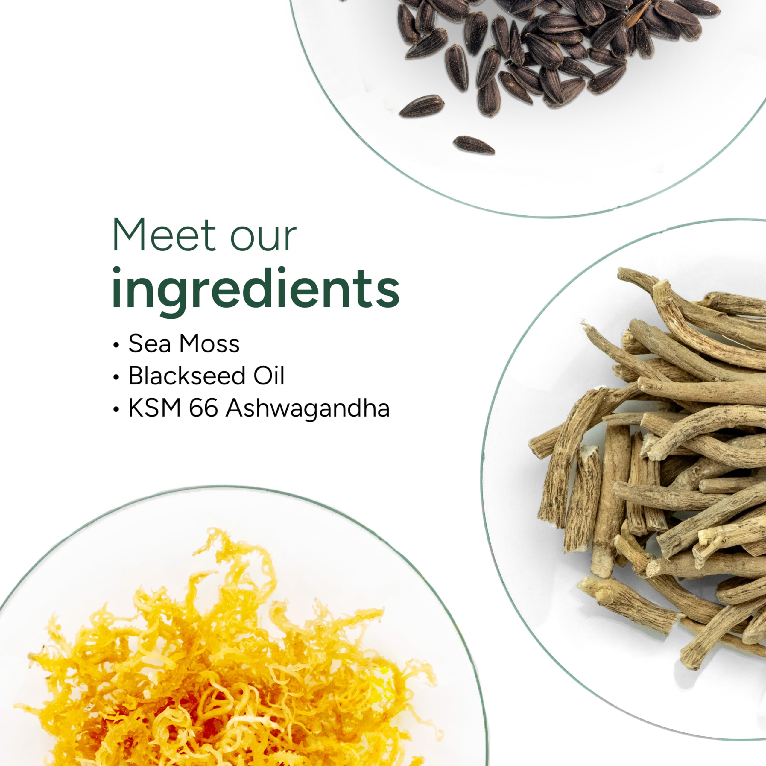 Ingredients panel featuring Sea Moss, Black Seed Oil, and KSM-66 Ashwagandha