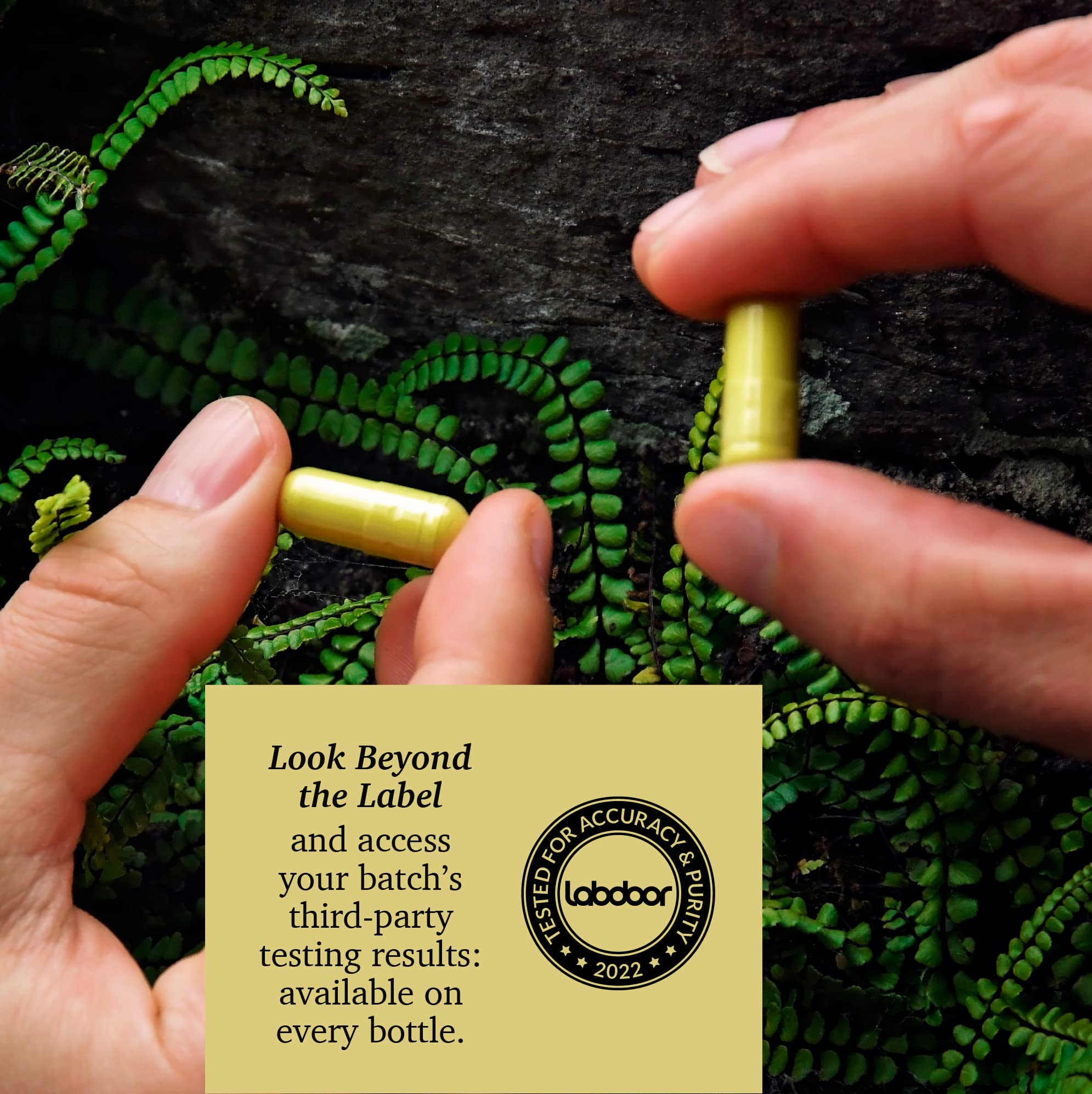 Certificate of Analysis and third-party testing documents for Rootcha Quercetin with Bromelain