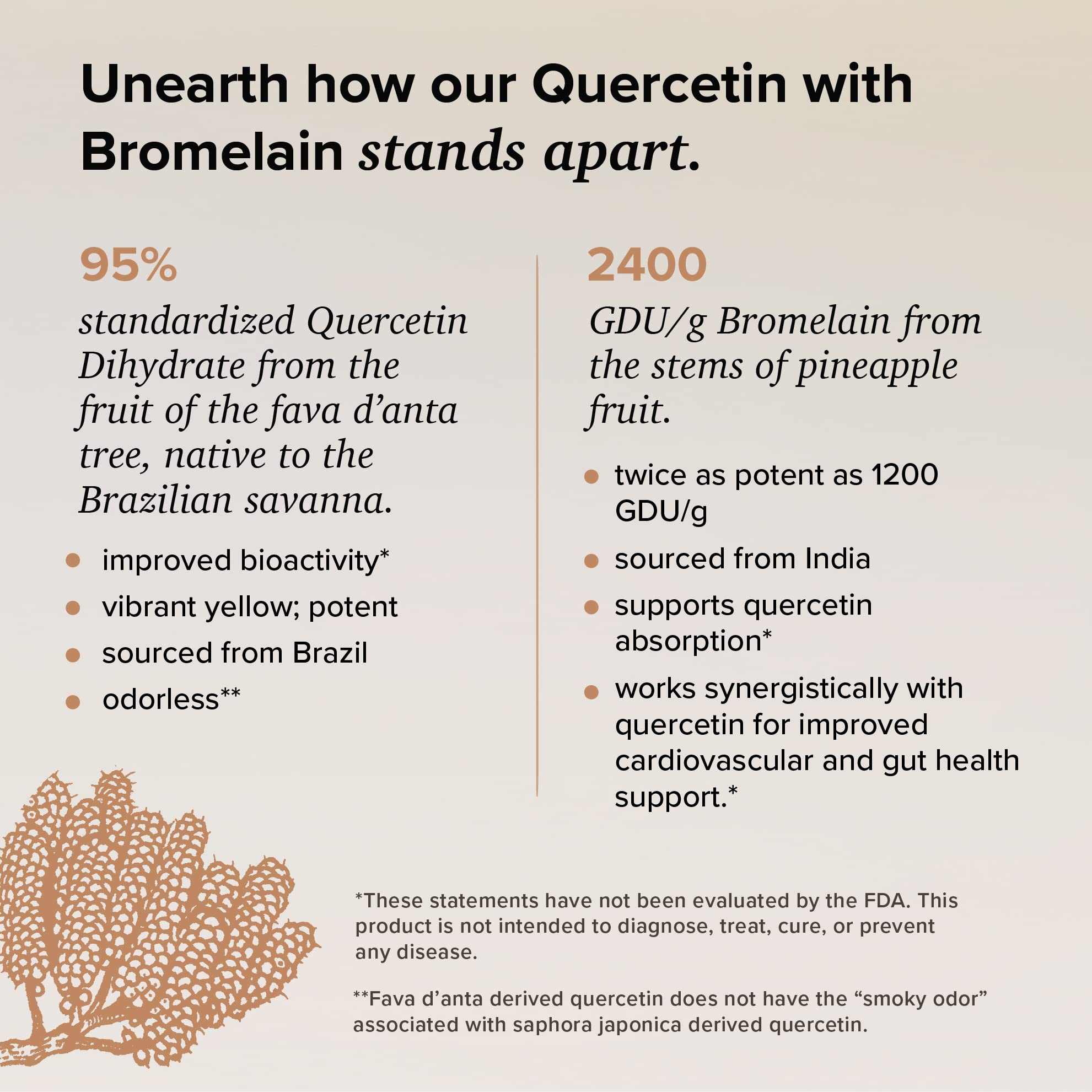 Ingredients panel showing 95% Quercetin Dihydrate and 2400 GDU/g Bromelain