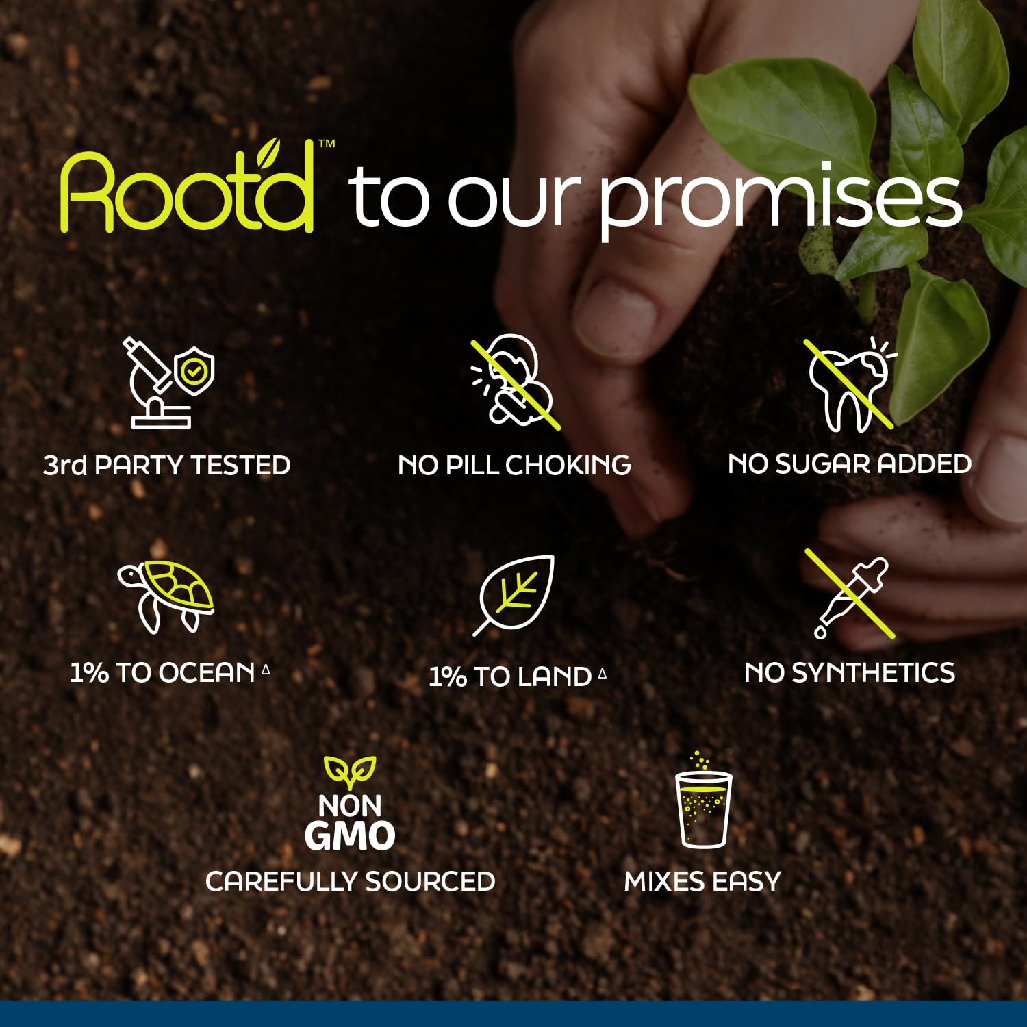 Vegetarian-friendly, paleo and keto compatible ingredients