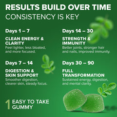 Vegan and gluten-free Rosabella Moringa Gummies label