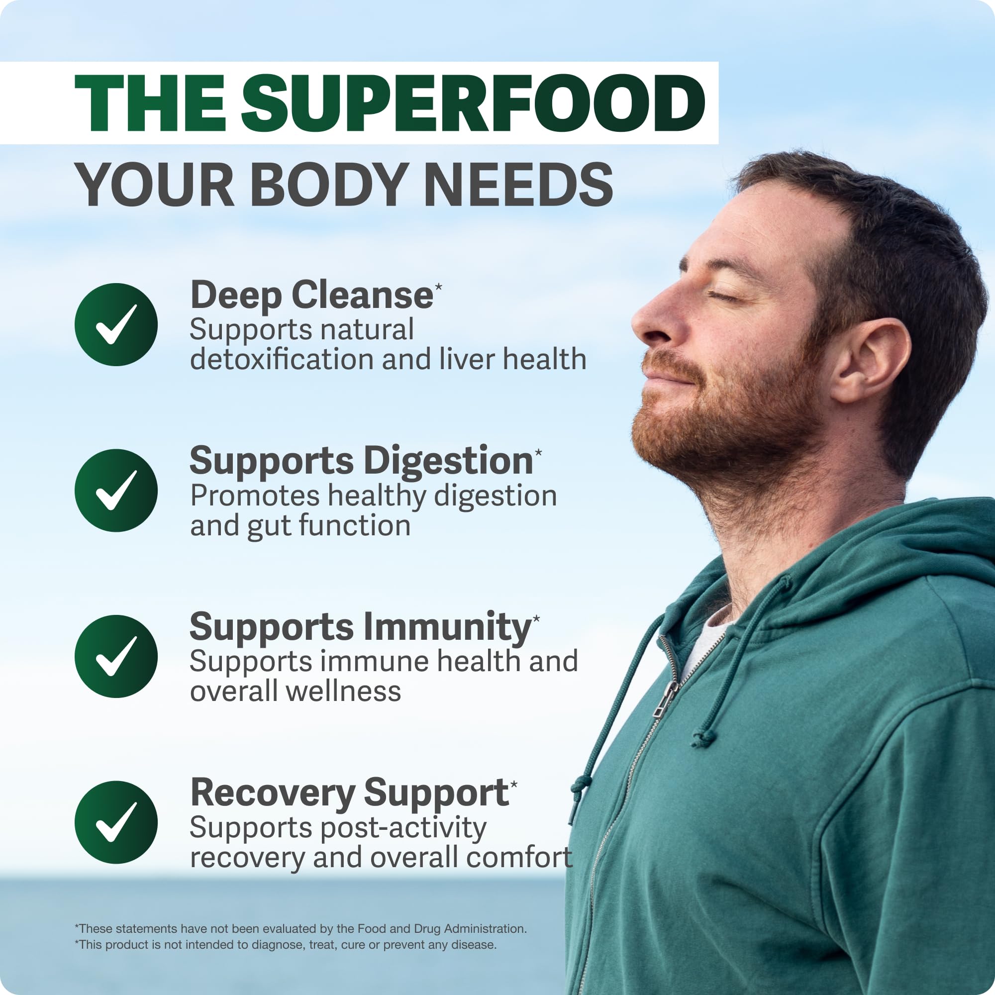 Illustration of digestive support and gut wellness