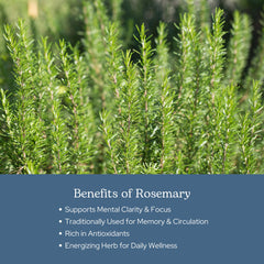 Packaging for Eclectic Herb Rosemary Capsules