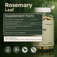 GMP-certified facility quality seal