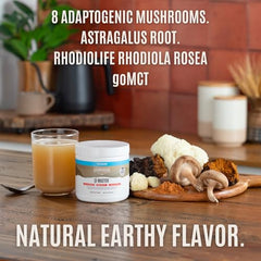 Illustration of eight organic mushrooms used in the blend
