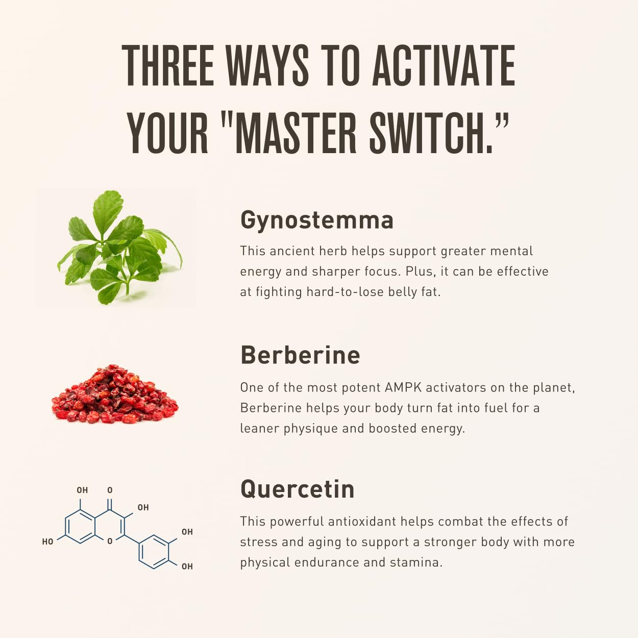 Gynostemma herb close-up