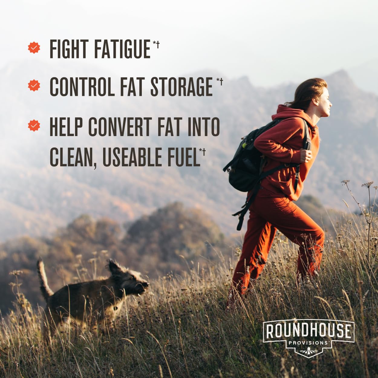 Quercetin supplement capsule close-up