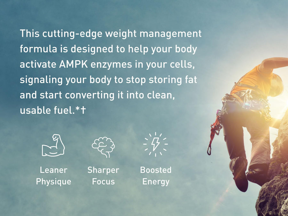 Two capsules serving on a white surface