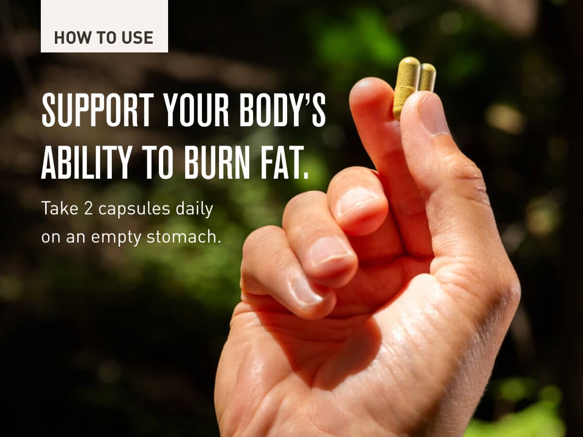 ROUNDHOUSE PROVISION Three Hit Combo packaging with 60 capsules