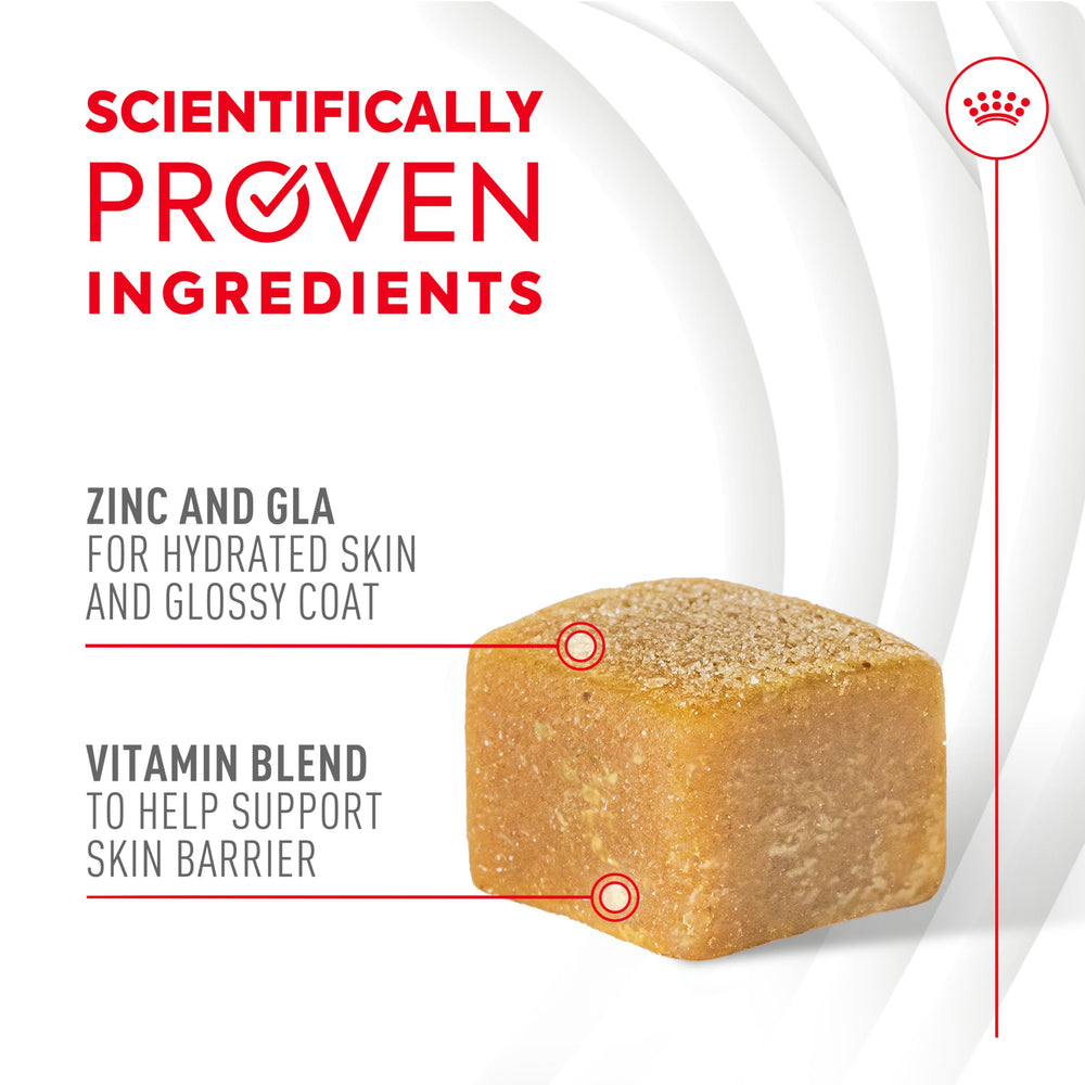 Close-up of Royal Canin Skin & Coat Soft Chews