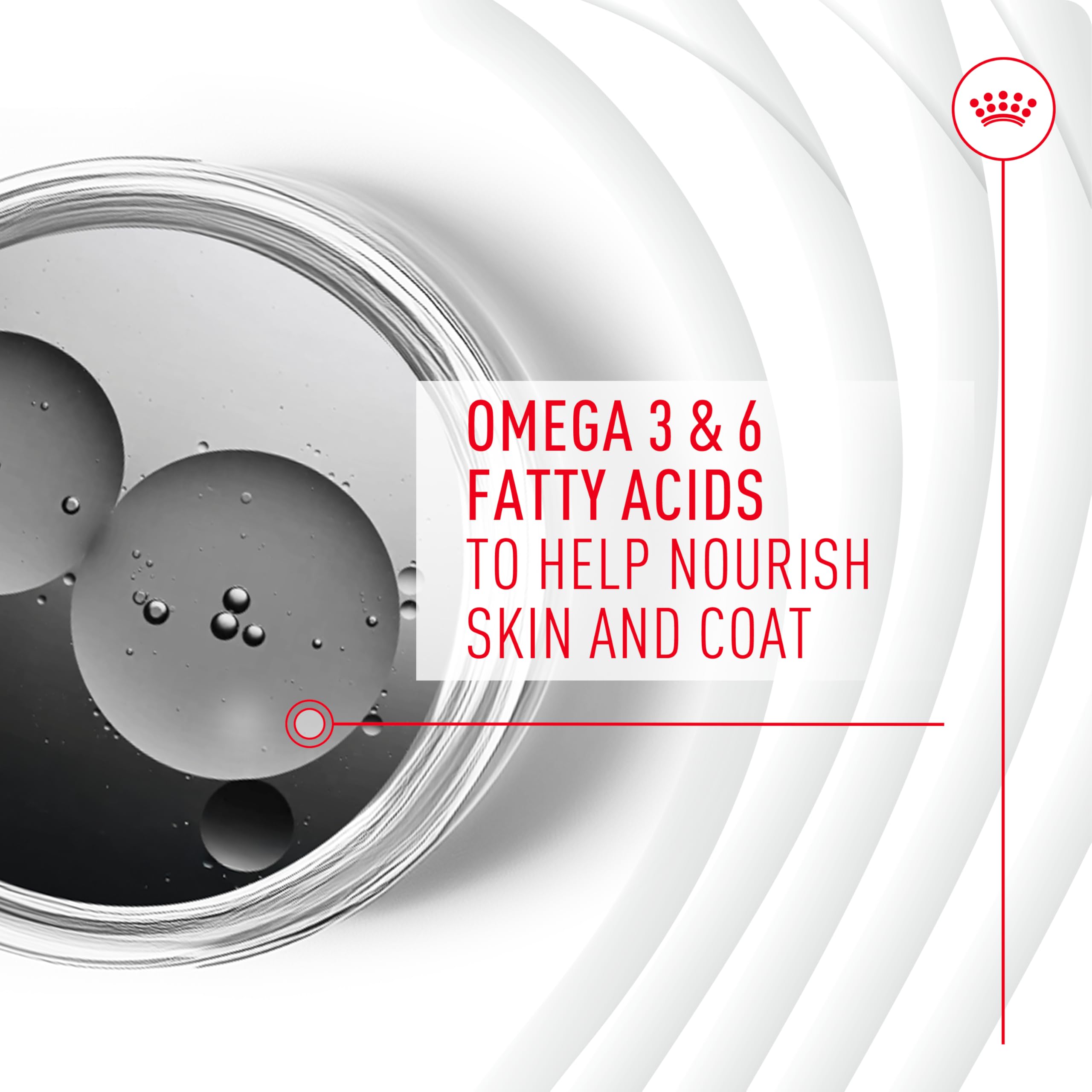 Nutritional information and ingredient highlights on packaging