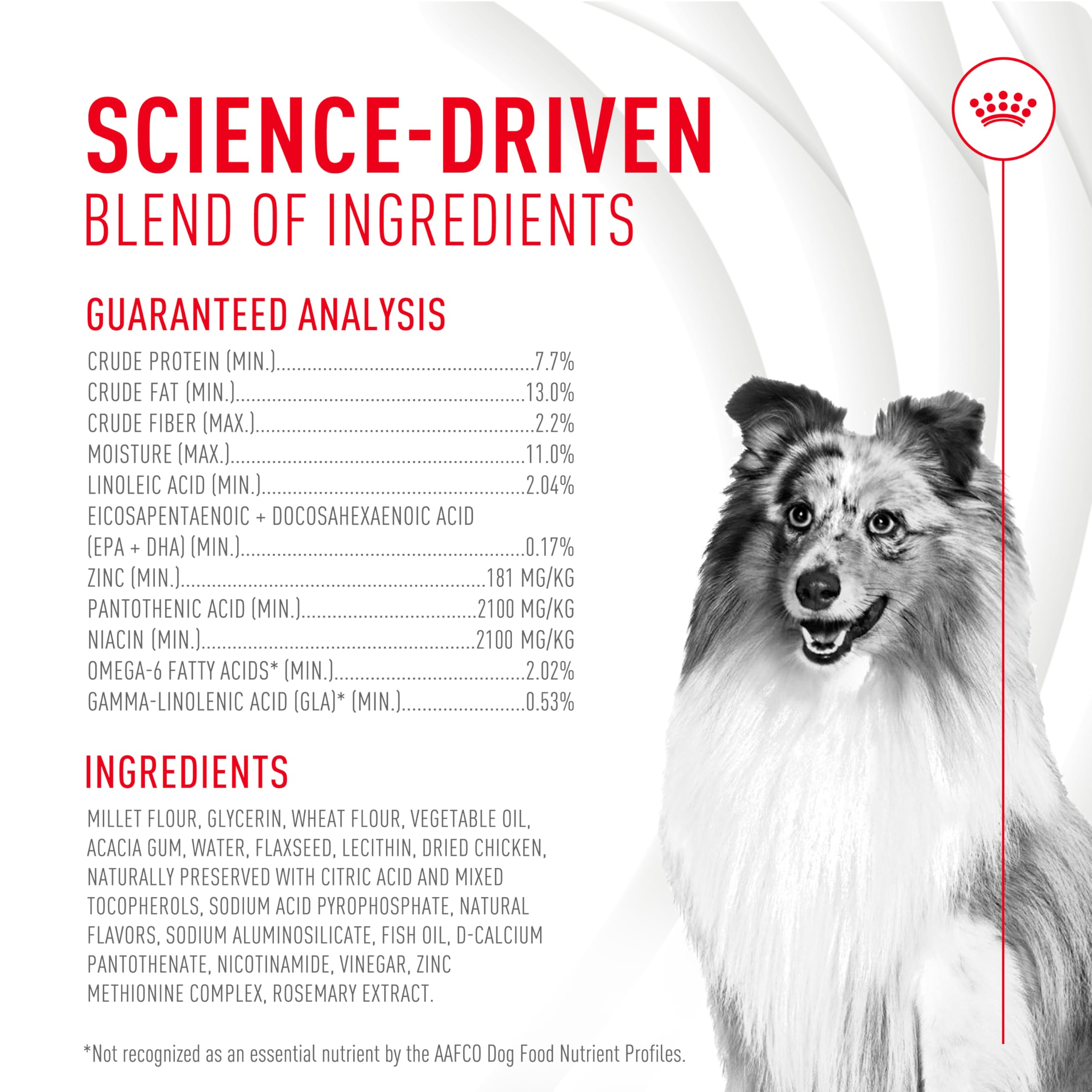 Healthy-looking dog with shiny coat and soft chews
