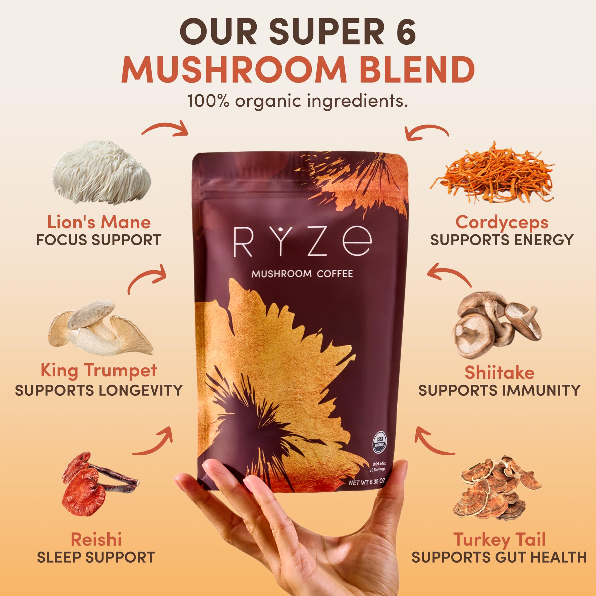 Illustration of MCT oil and mushroom blend