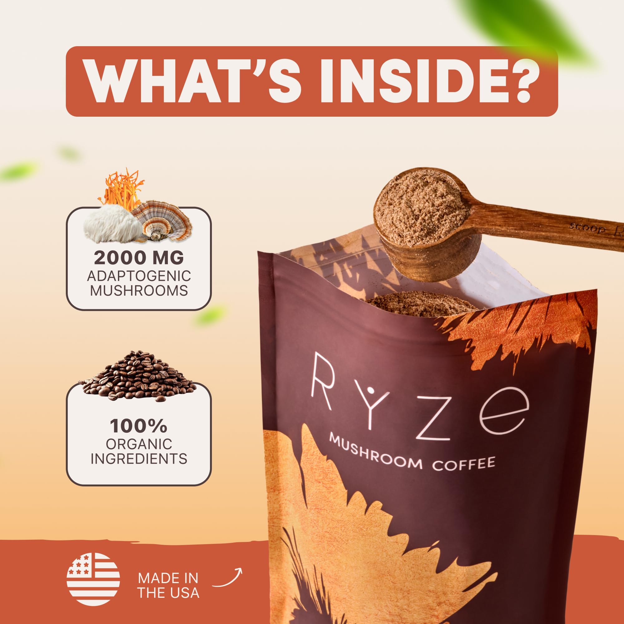 Mushroom types: Cordyceps, Lion's Mane, Reishi, Shiitake, Turkey Tail, King Trumpet