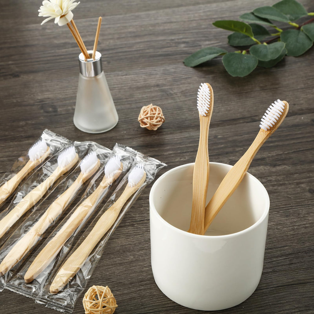 Ideal homeless gift set option with classic color prepasted toothbrushes