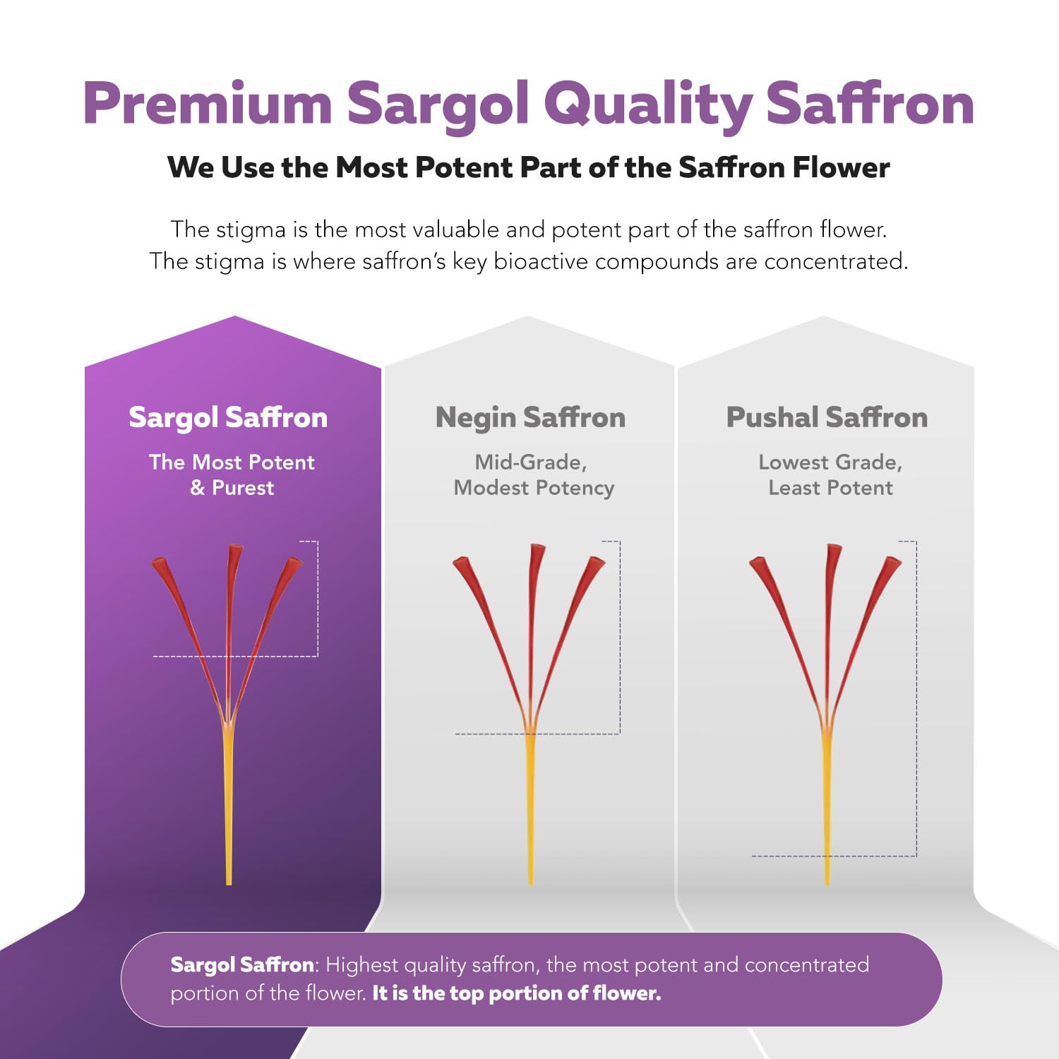 Saffron extract promoting mood, calmness, and relaxation